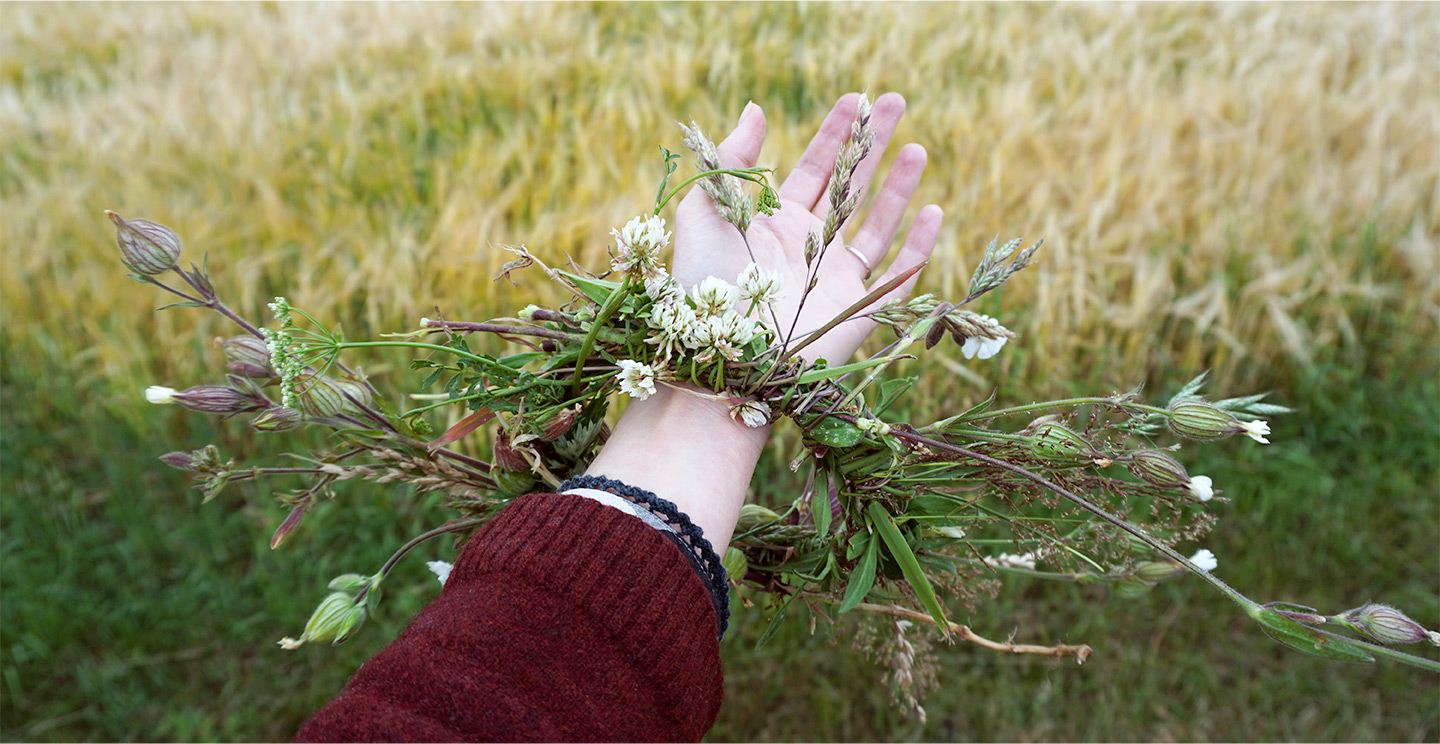 Aline Cor Naturopathe | Rééquilibrage alimentaire, Iridologie, Phytothérapie, Aromathérapie, Réflexologie plantaire, Oligothérapie - Toulouse